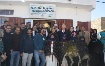 Projet d’orge hydroponique, une culture révolutionnaire au Maroc
