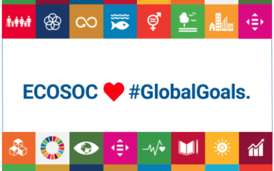 UN’s Economic and Social Council (ECOSOC) grants ADEPT a special consultative status